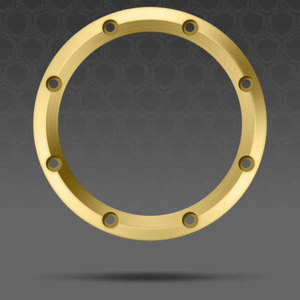 Aluminum Bronze Changeling