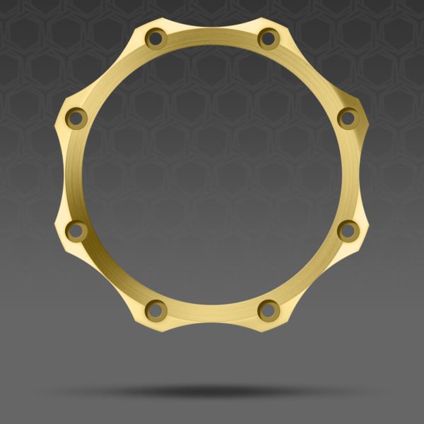 Aluminum Bronze Changeling 1 Aluminum Bronze Changeling